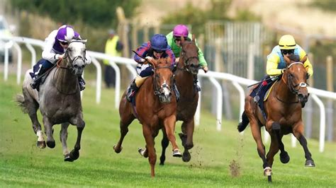 brighton horse racing tips|Brighton Tips .